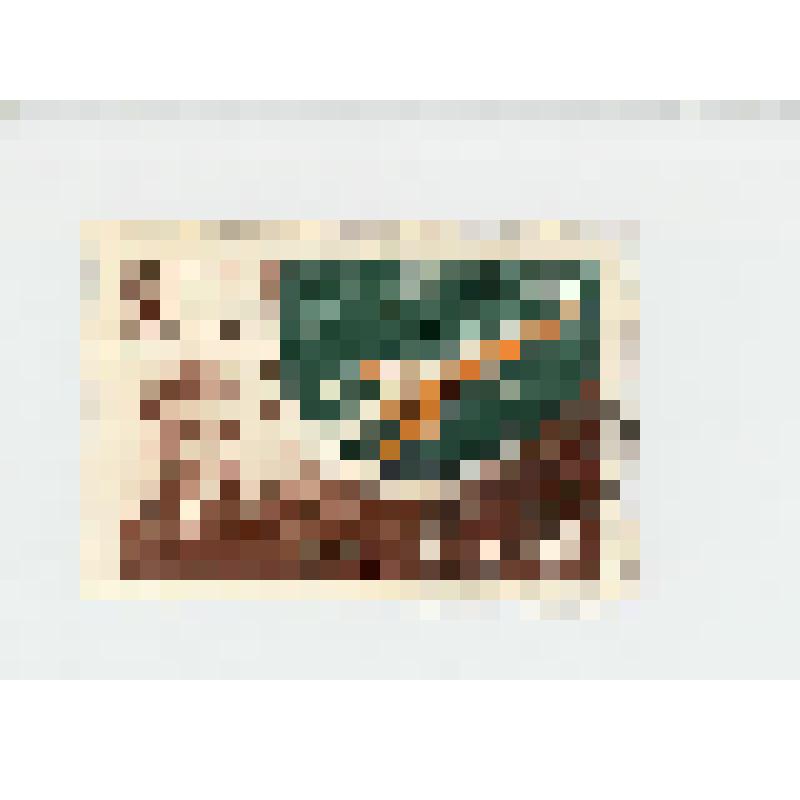 Марка почтовая. "Г. С. Титов". Космический полёт Г. С. Титова на корабле "Восток-2" (Номинал - 6 копеек)