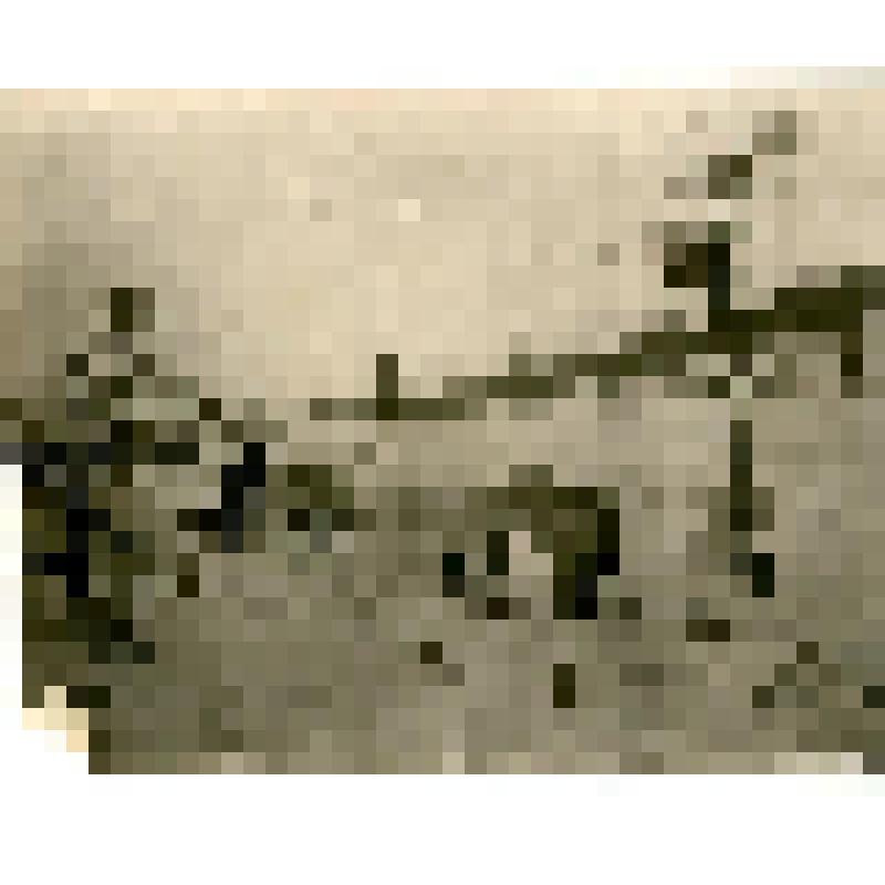 Фотография. «Еселях»-почтовая станция на Тикси. Перед тундрой