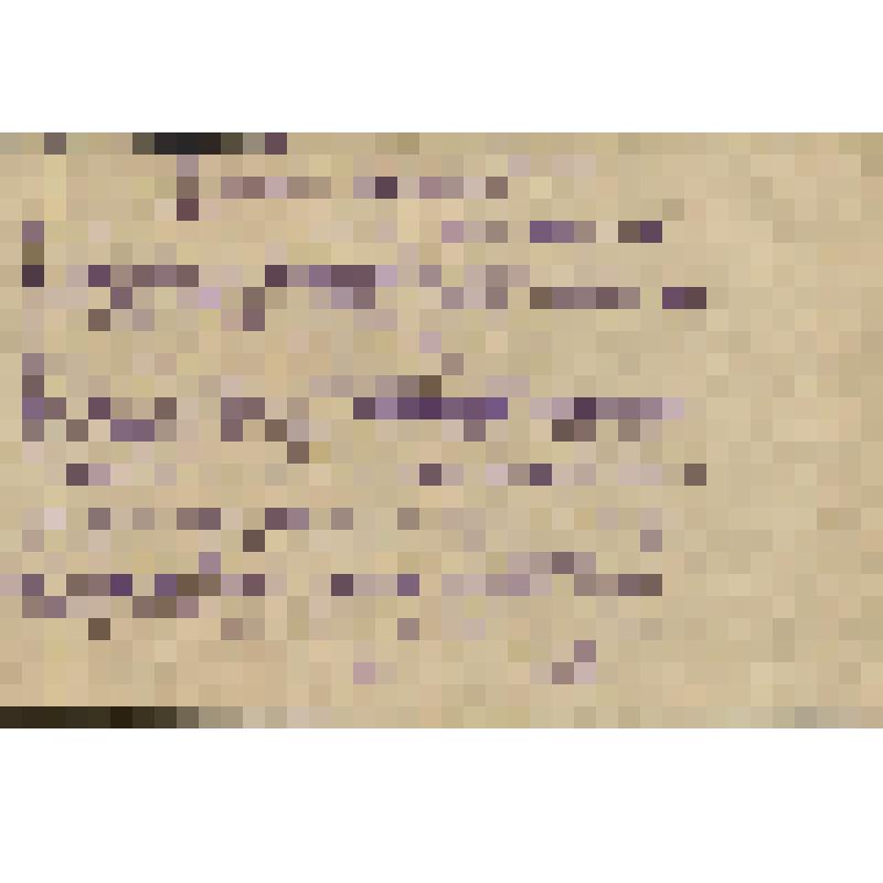 Рукопись стихов Вагина Андрея Григорьевича "Первый снег" и "Лесная красавица"