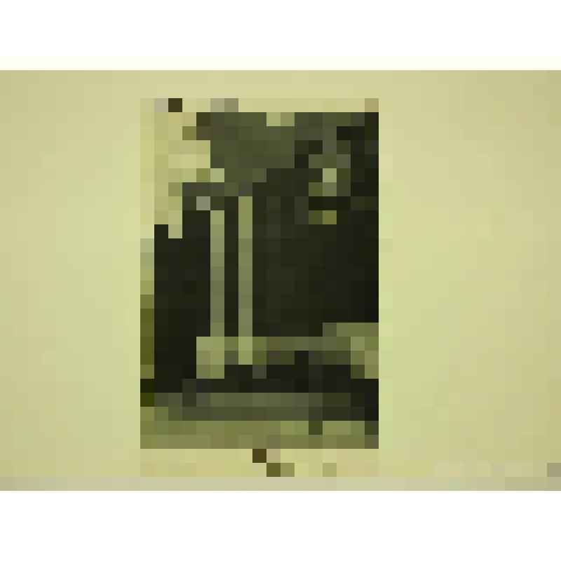 Дом литератора. Фрунзе 5. 1976 г. Белоруссия, г. Минск. Дом литератора. Григорьев Ю; Шубина О.; Стельмашонок Л; Любимов Ю. П.; Стельмашонок В. Фрагмент  фасада