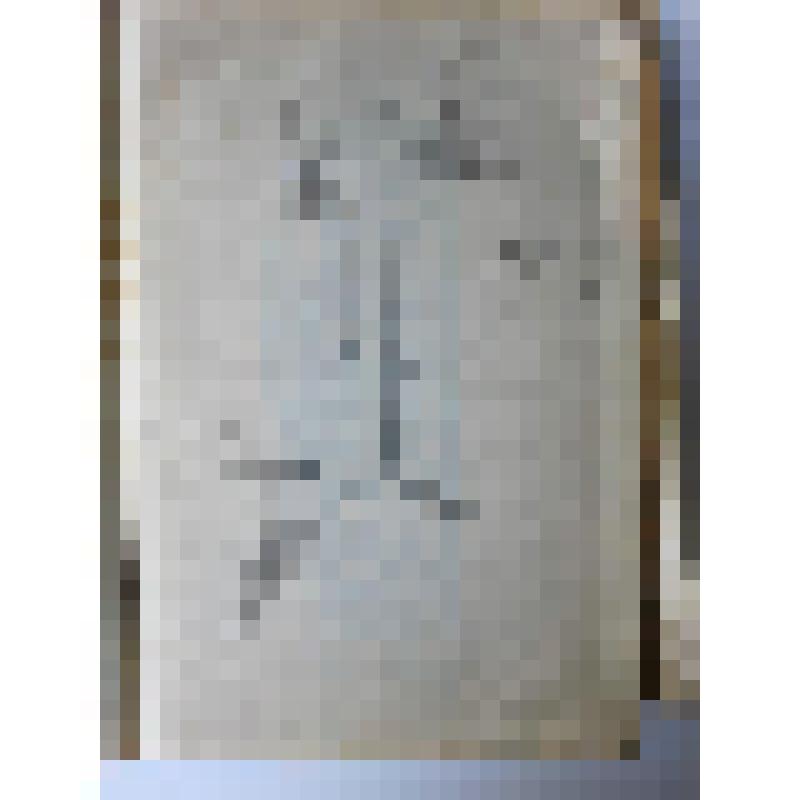 Альбом с проектными чертежами, с эскизами, зарисовками архитектурных памятников и деталей, произведений скульптуры и декоративно-прикладного искусства, пейзажными зарисовками, тематическими рисунками исторического жанра и по мотивам воспоминаний детства и