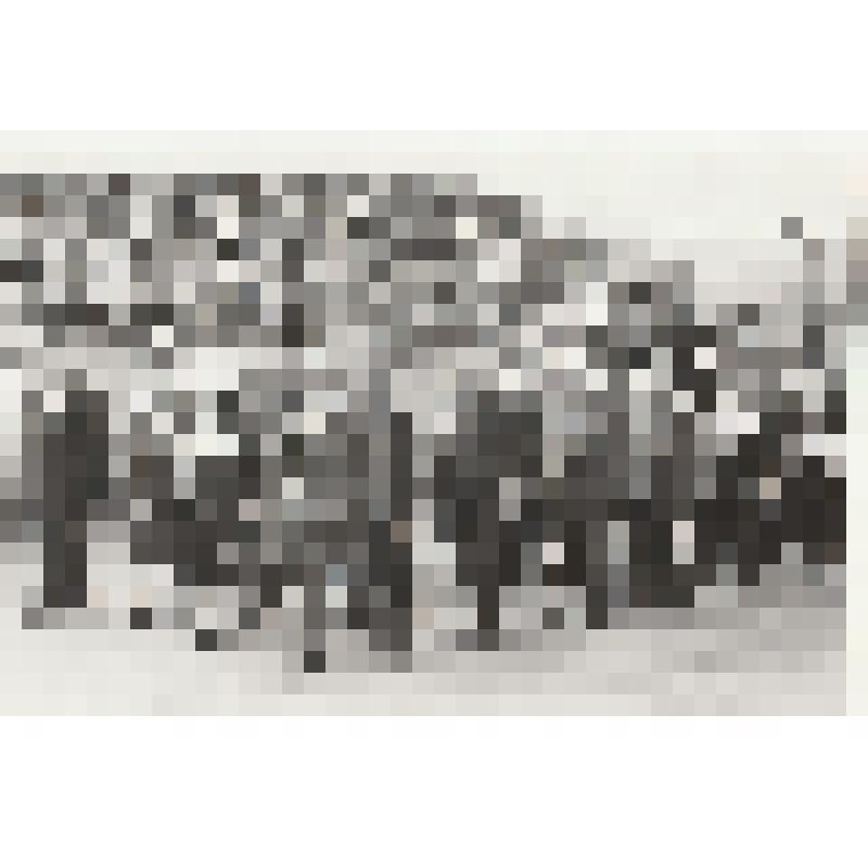 Фотография. Гомзяков Николай Филимонович на стадионе «Водник» в День города