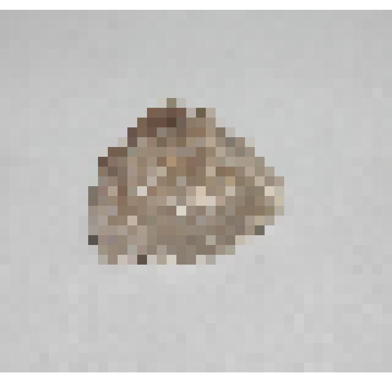 Минерал. Гипс  волокнистый на доломите