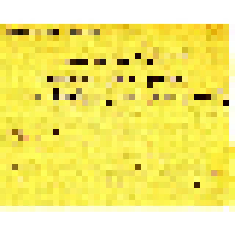 Извещение о пропаже без вести красноармейца Камкина Андрея Николаевича. Документ составлен Биряковским райвоенкомом капитаном Ульдиваровым в 1947 г. Адресовано жене Камкиной Анне Николаевне