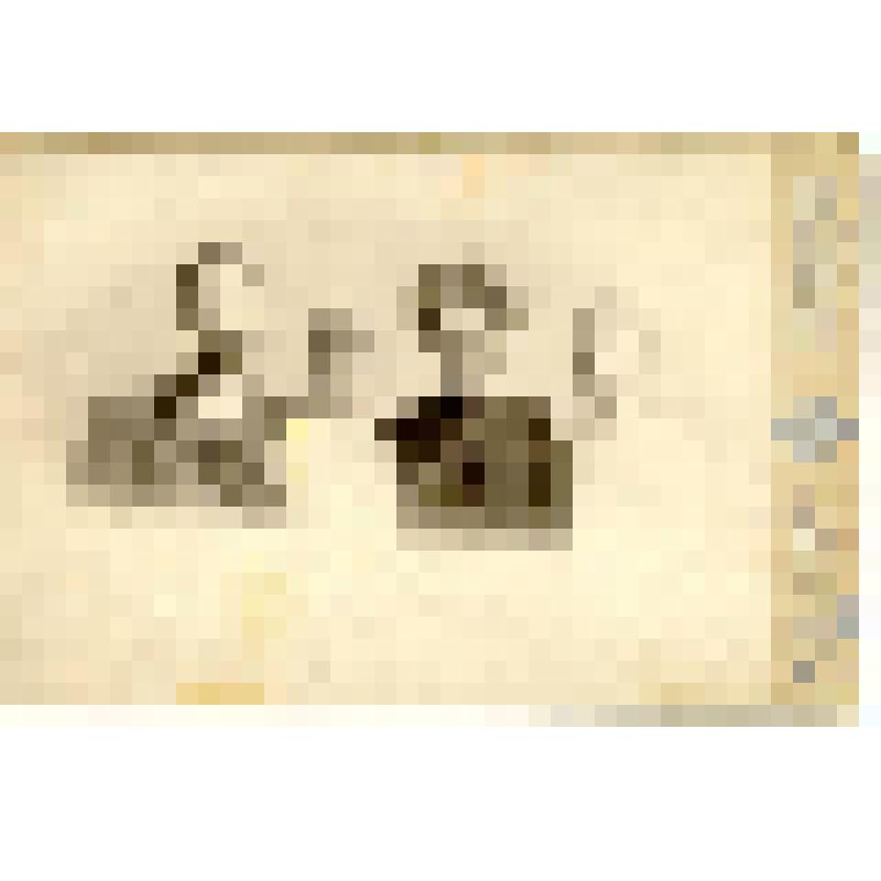 Фотография. Чапин Дмитрий Степанович с семьей