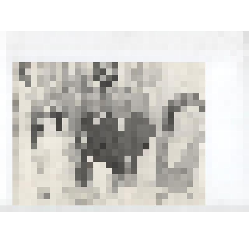 Фото участники ВОВ с. Ольговка Котов Н.Е. и Саворовский Н.В