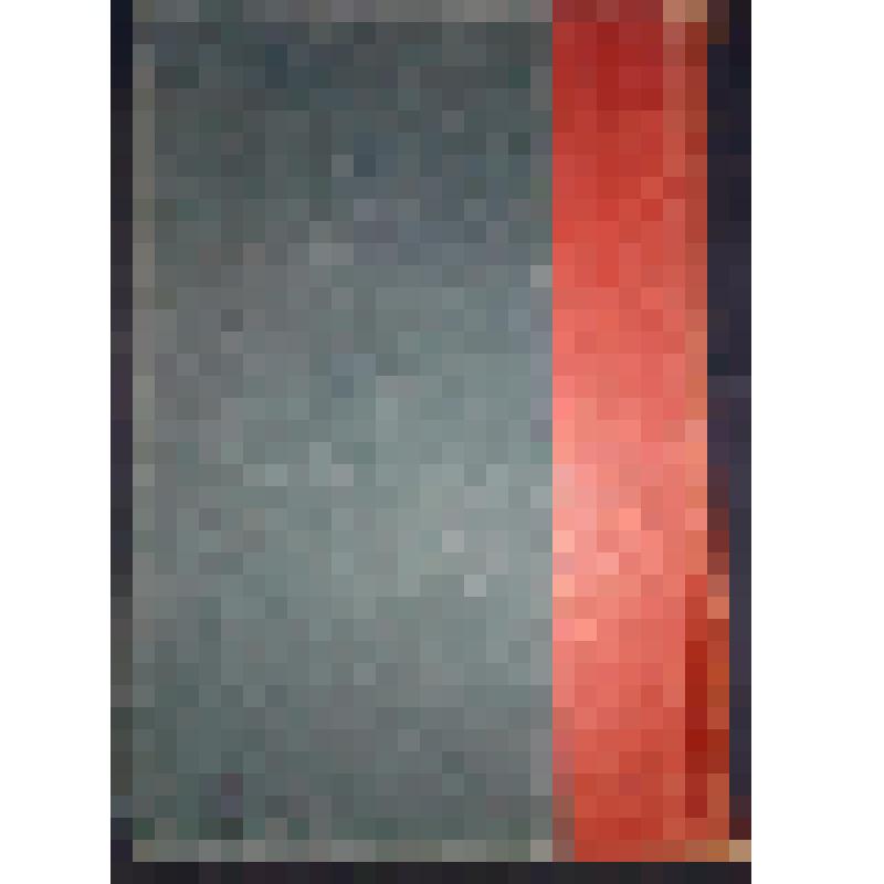 Большая Советская энциклопедия под О.Ю. Шмидт том-шестьдесят четвертый (электрофон-эфедрин) Москва; ОГИЗ; РСФСР 1933г