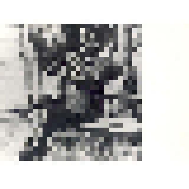 Великий князь Борис Владимирович на скамейке на территории Ставки Верховного главнокомандующего в Могилеве. Пересъемка фотографии 1916 г. Фотограф А. К. Ягельский