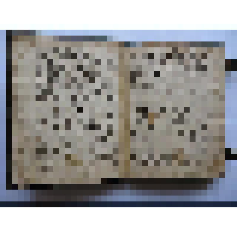 Житие патриарха Никона