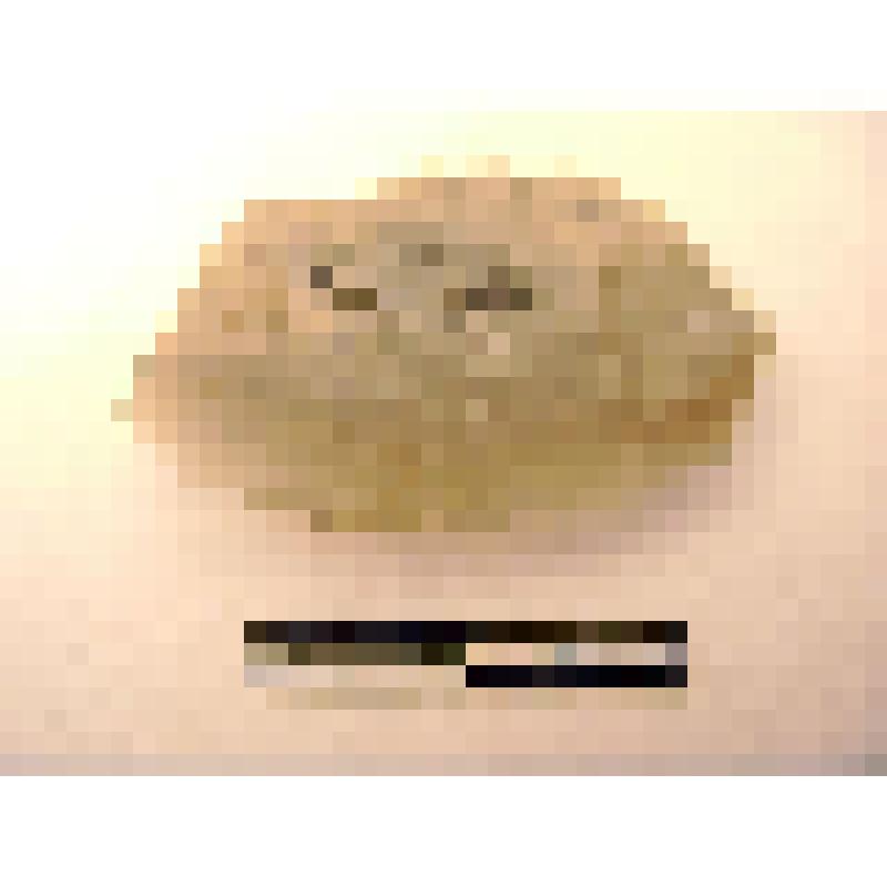 Резец