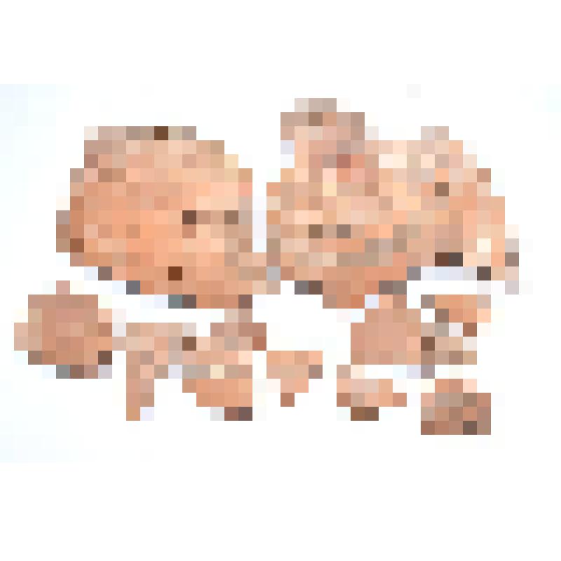 Сосуд (фрагмент)