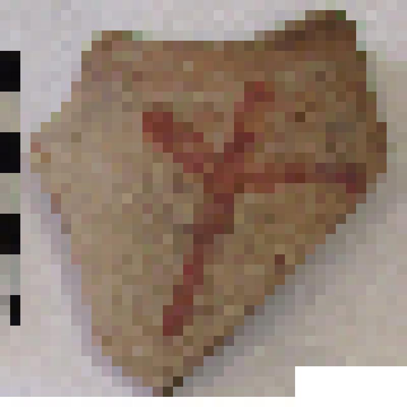 Фрагмент плеча амфоры типа D столовая с дипинто