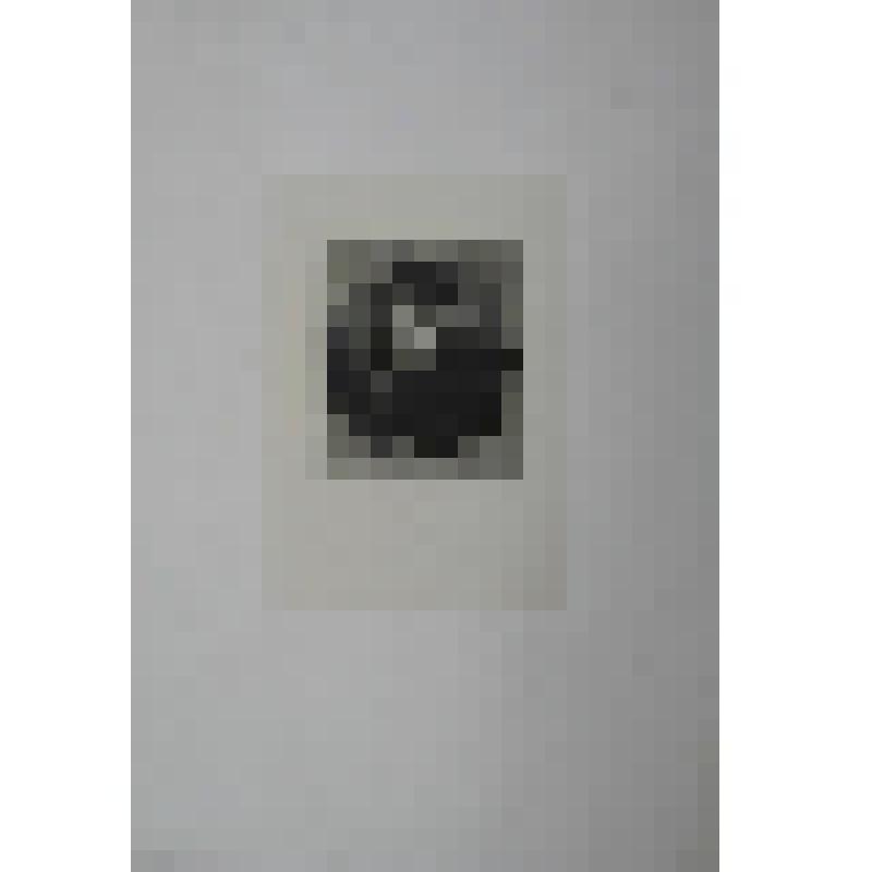 Портрет. Жуковский Василий Андреевич