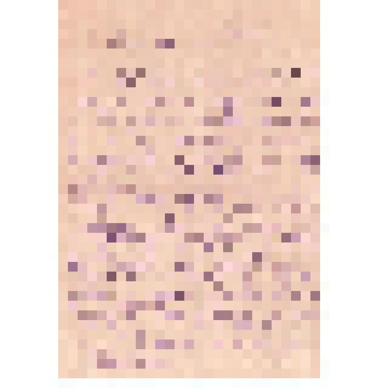 Письмо В. Заонегина матери