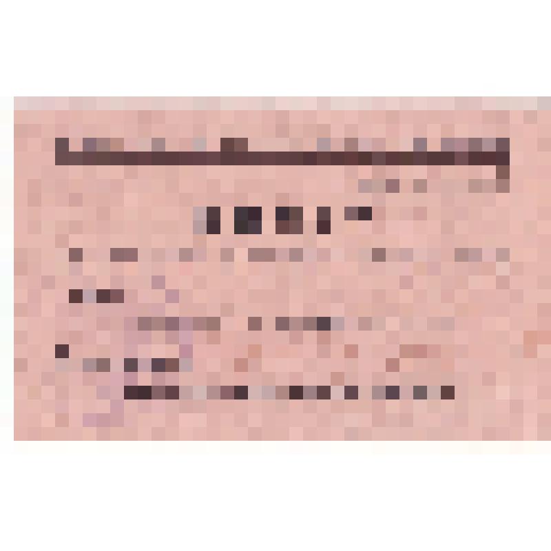 Гостевой билет М.М. Костеловской на заседание 8-ого Всероссийского съезда Советов