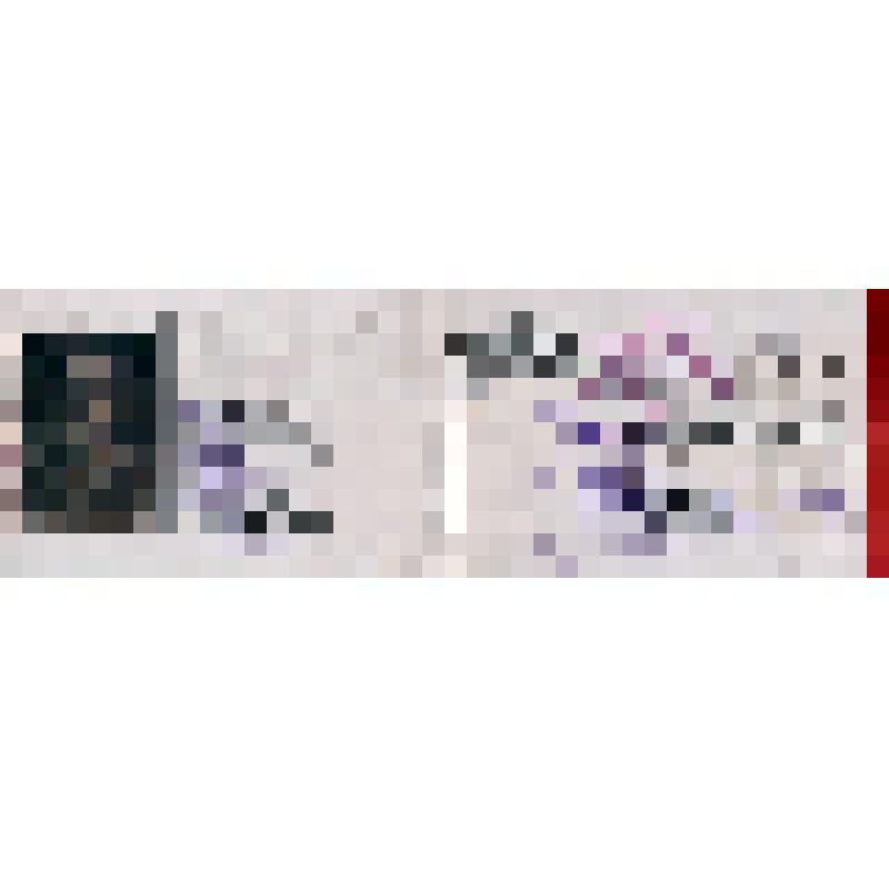 Удостоверение т. Берлина Л.Е