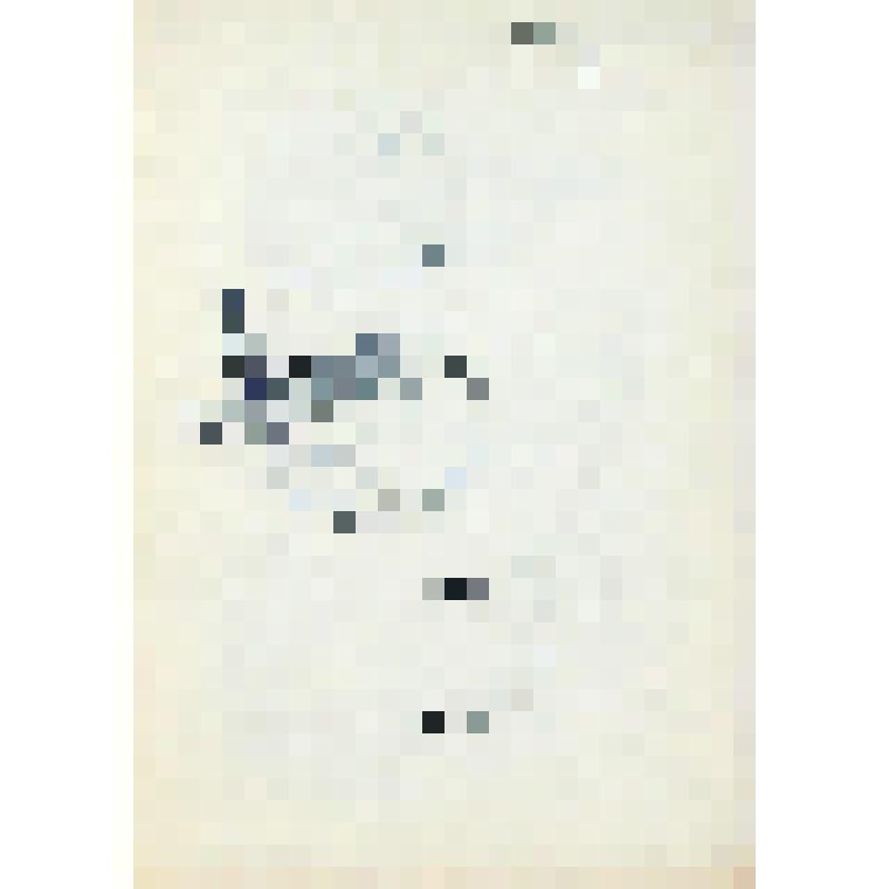 Лист № 45. Из папки "Рисунки разных лет с 1951."