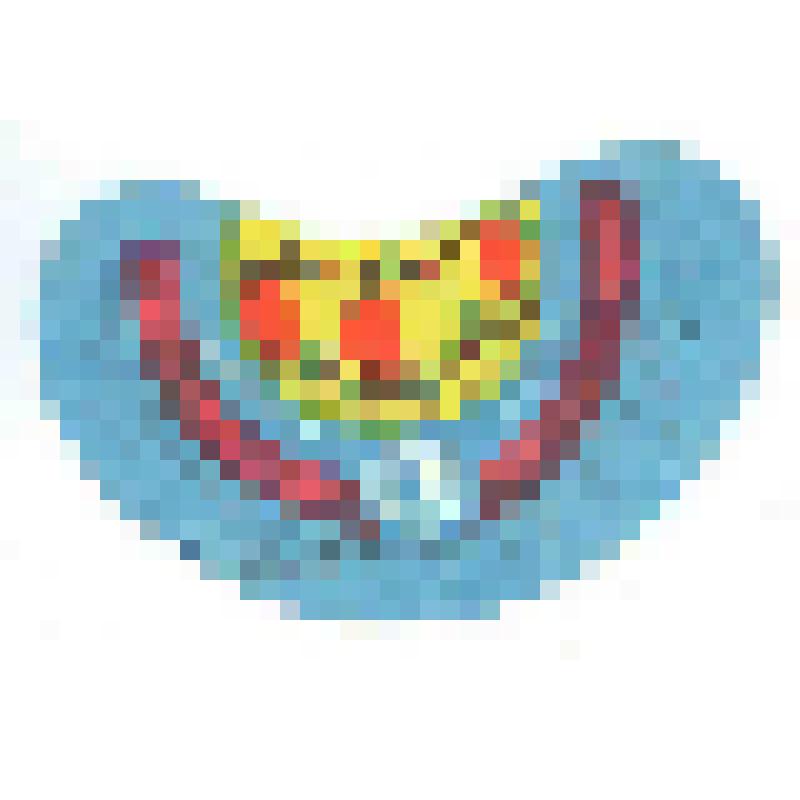 Кольеретка-этикетка горловая к напитку «Цитрусовый» производства Грузинской СССР, из коллекции кольереток – этикеток горловых к безалкогольным напиткам