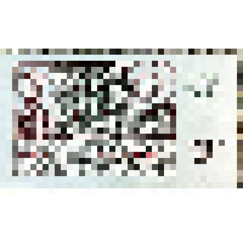 Знак бумажный денежный. Билет № 024 серия 012944 денежно-вещевой лотереи, из коллекции билетов лотерей: денежно-вещевой, ДОСААФ, Красного креста и Красного полумесяца СССР, Всесоюзной художественной, благотворительной "Храмы России", Детского фонда СССР,