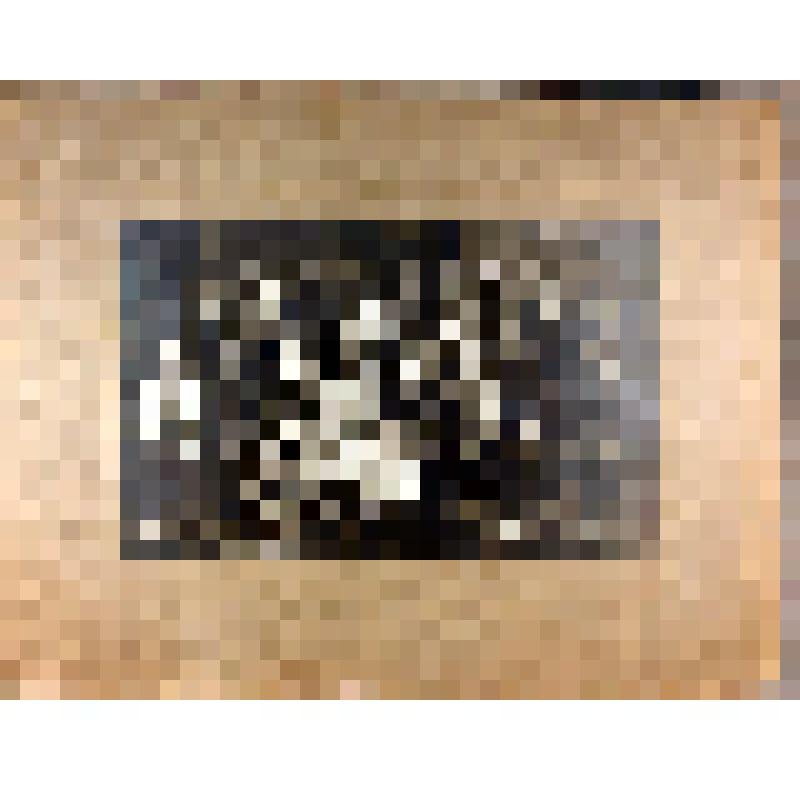 Фотография. Капутовская Надежда - выпускница 11-й советской школы II ступени (в IV ряду 7-я слева) с одноклассниками и преподавателями, из коллекции документальных, фотографических и вещевых материалов о Миловидовой Инне Борисовне (1929-2009), кандидате б