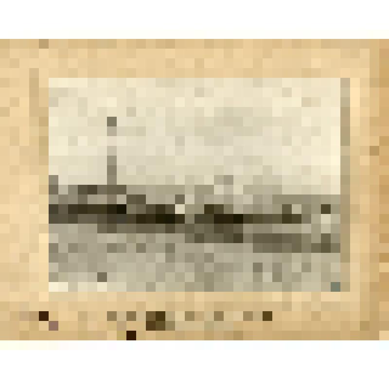 Фотография. Бумагопрядильная фабрика Акционерного общества «Саратовской мануфактуры». - Из альбома «Фабрики и заводы г. Саратова. 1902»