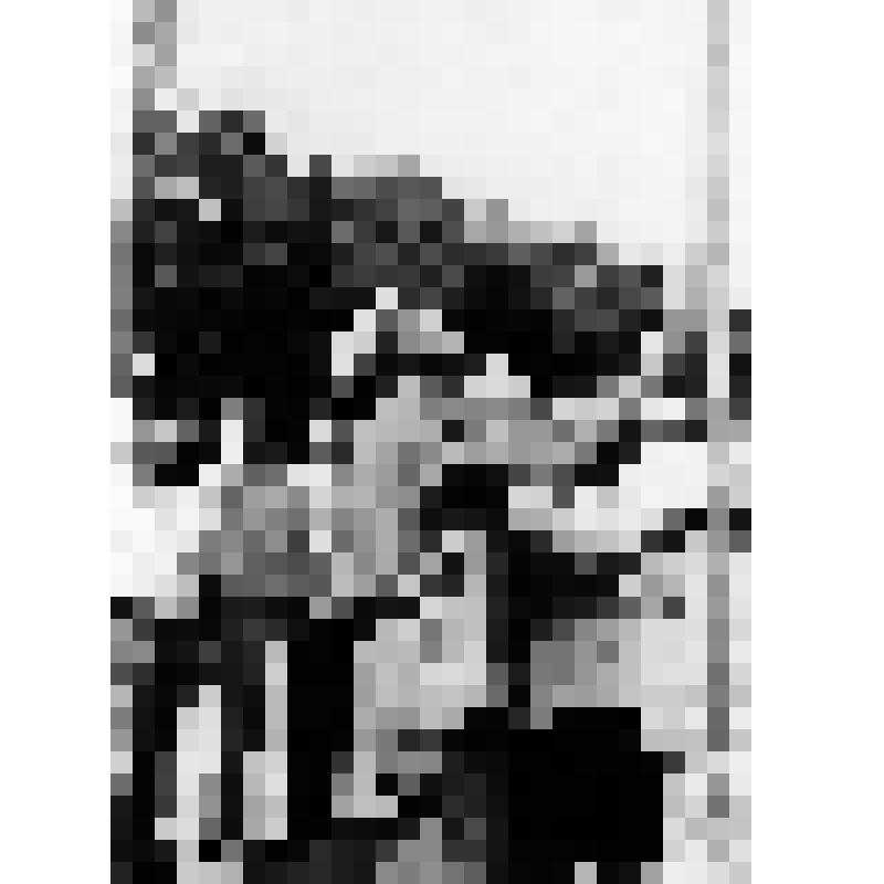 Подъем флага в праздник урожая в Азовском районе. У флагштока - механизатор Вощинский Петр (колхоз им. XX партсъезда)