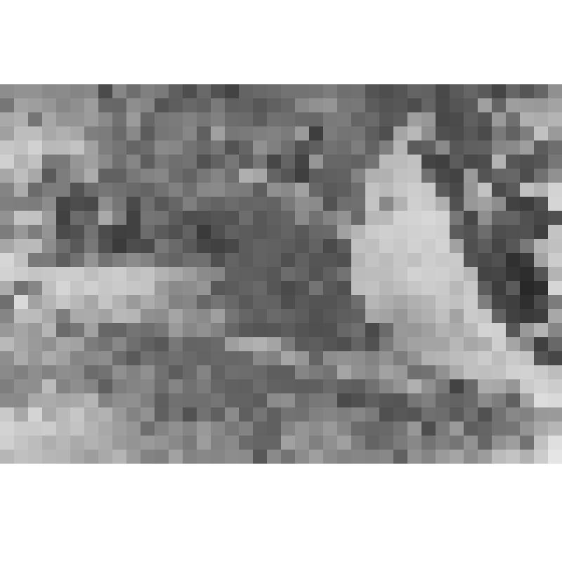 Момент работы раскопок костей трогонтериевого мамонта в Кагальницком песчаном карьере