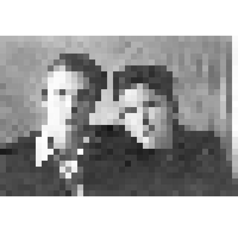 Парный портрет юноши и девушки. Справа - Цымбал (Бугаенко) Зинаида Васильевна