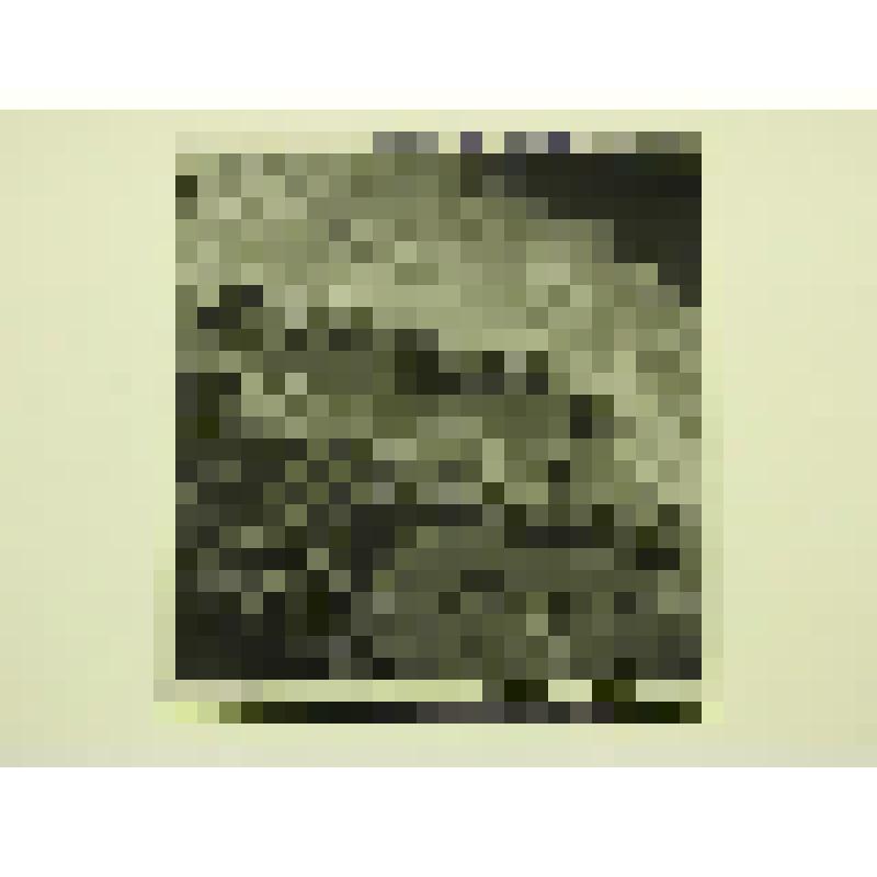 Санаторий " Приморье". 1970-е гг. Краснодарский  край, г. Сочи. Санаторий " Приморье". Виноградский И. М.; Зальцман В.; Лисовский В.; Беляев А.; Берклайд М. Фрагмент. Вид сверху