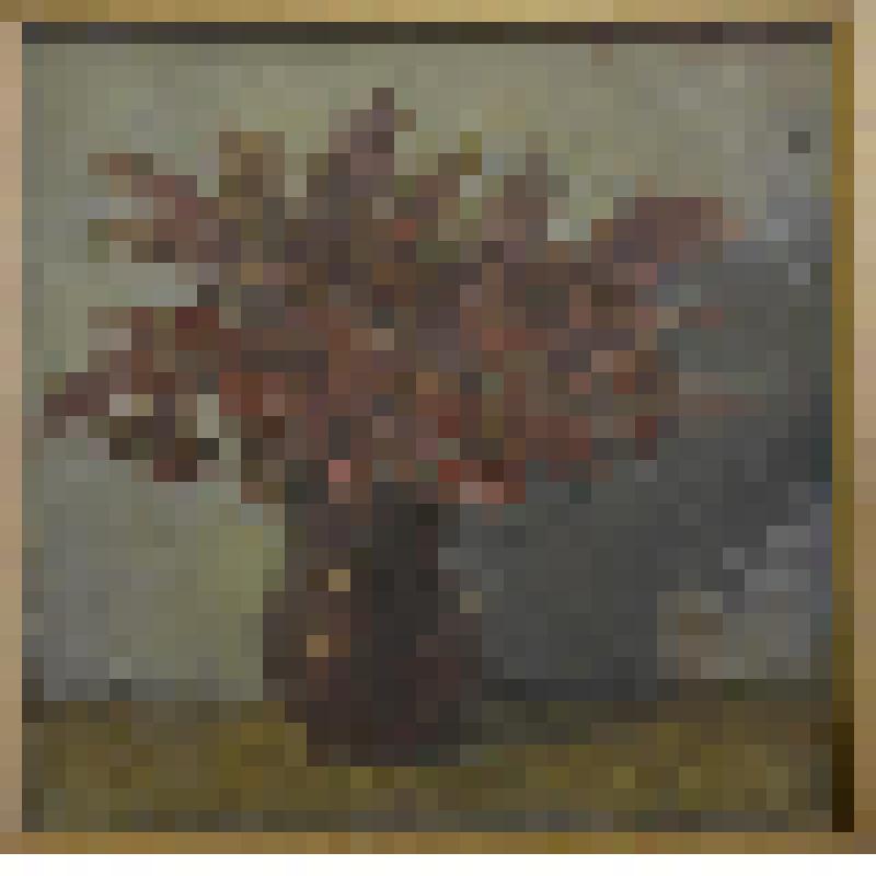 «Рябина». Картина