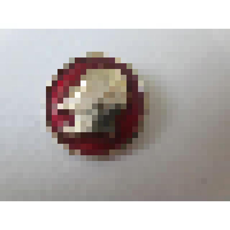 Значок В.И. Ленин