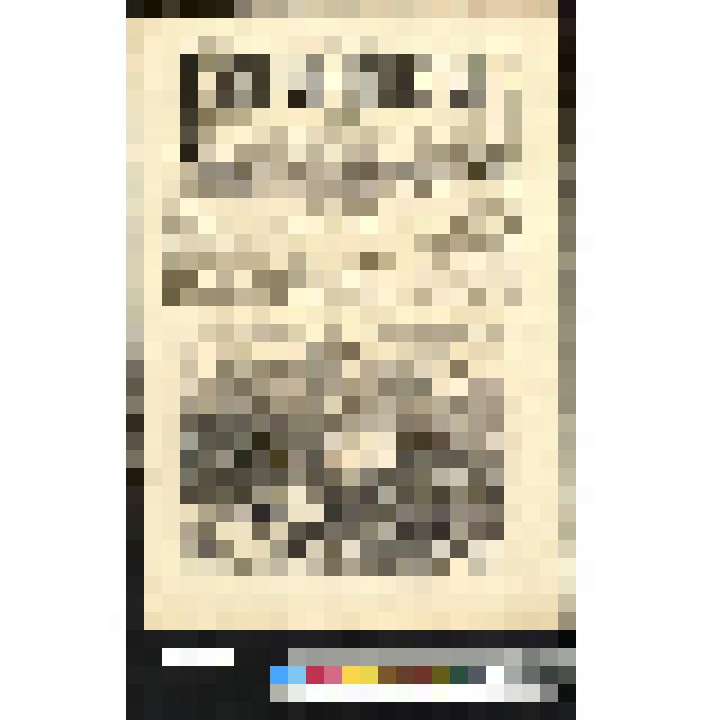 Лист из журнала "Всемирная иллюстрация" за 1871 год с гравюрами. № 118. 3 апреля 1871 года