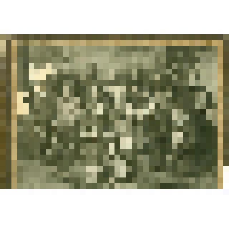 Каслинский всеобуч, 19 человек,