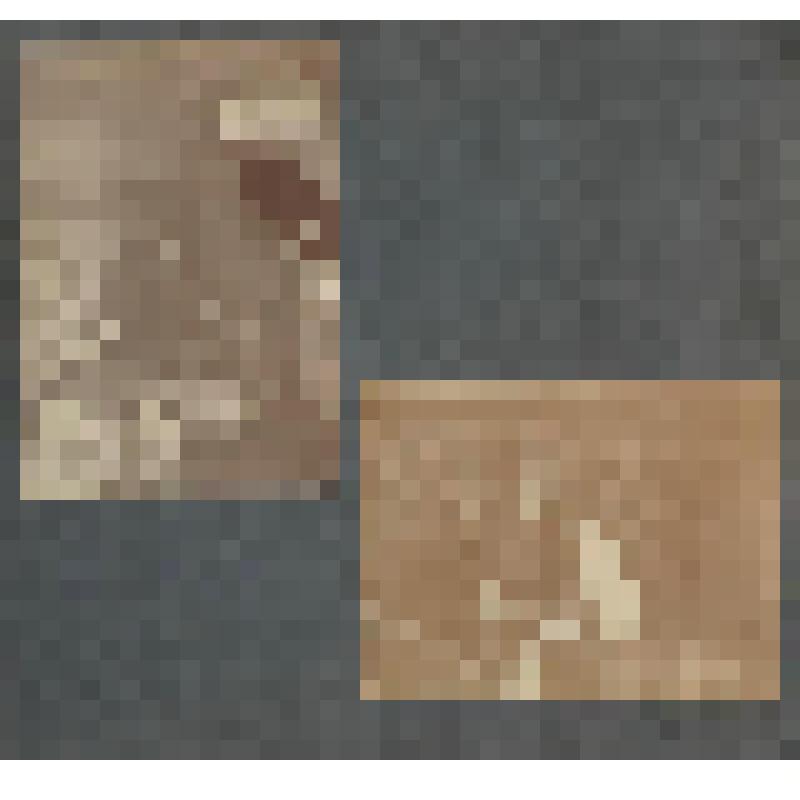 Лист из фотоальбома. Фотоальбом Н. Н. Кудаш, в замужестве Жаровой. Годы учебы в русской гимназии в Моравской Тршебове. Лист 10. На 1 странице - два фотопортрета молодой женщины с ребенком на кровати. На обороте листа - фотопортрет мужчины с мальчиком в по