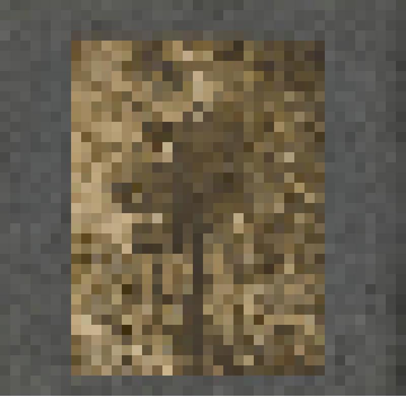 Лист из фотоальбома. Фотоальбом Н. Н. Кудаш, в замужестве Жаровой. Годы учебы в русской гимназии в Моравской Тршебове. Лист 10. На 1 странице - два фотопортрета молодой женщины с ребенком на кровати. На обороте листа - фотопортрет мужчины с мальчиком в по