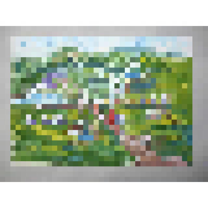 "Ярмарка", 2009 г