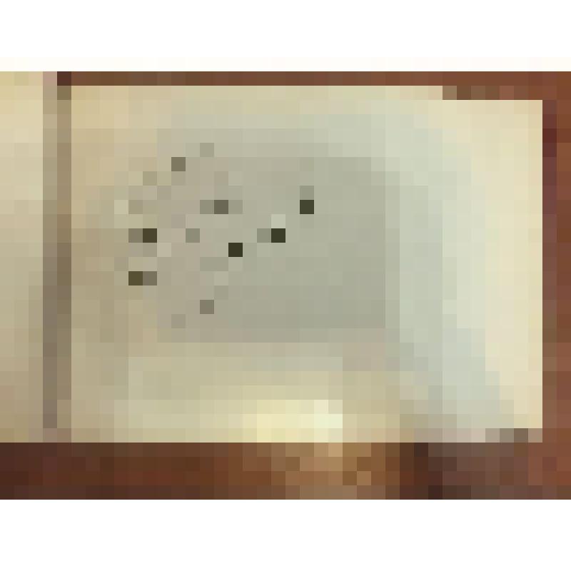 Альбом. Альбом с фотографиями музея Н.А. Островского в г. Шепетовке, сооруженного в честь 60- летия ЛКСМ Украины