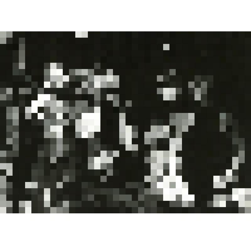 Фотография. Сцена. Группа молодых людей - стоят на коленях: 3-е - в профиль, 2-е - фас, 2-ой справа - в гриме "смерти", в руке - кость. "Рваный плащ" (пост. А. Шапиро, худ. А. Фрейбергс). Латвия, Государственный театр юного зрителя имени Ленинского комсом