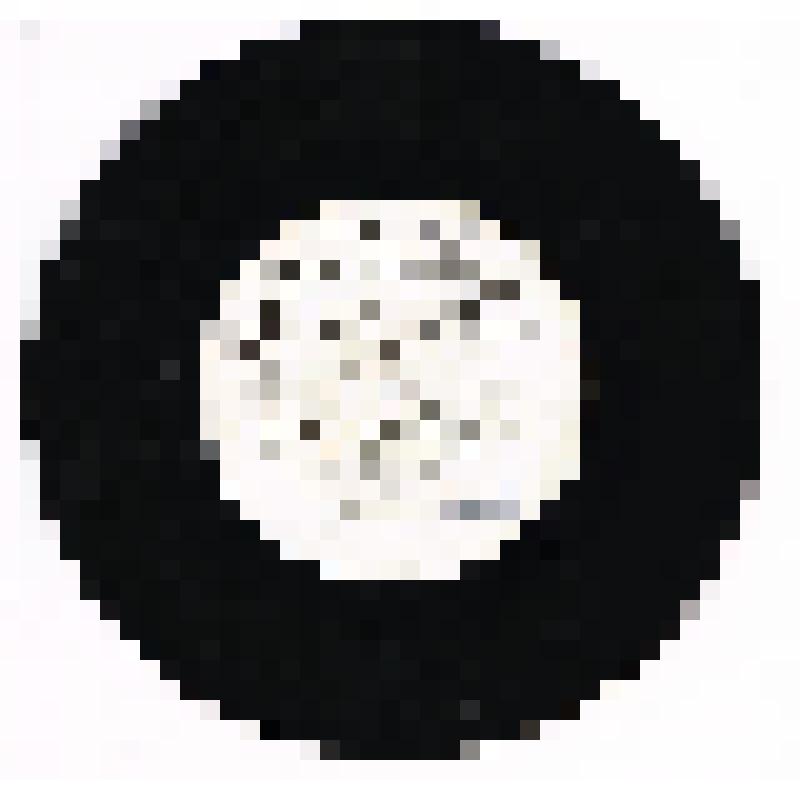 ВИА Голубые гитары