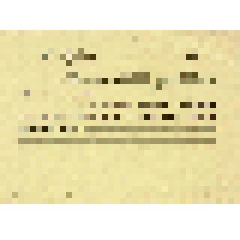 Бланк расписки чердынскому купца Н.П.Алина, г. Чердынь