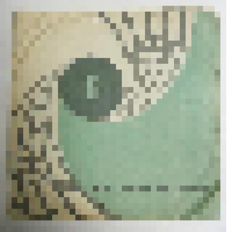 Пластинка виниловая. Волжанка (кадриль). Селезень гулял с уткой.   Мособлсовнархоз РСФСР Апрелевский завод грампластинок. Записано во Всесоюзной студии грамзаписи