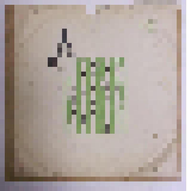 Пластинка виниловая. Себежаночка. Ночи весенние. Мособлсовнархоз РСФСР Апрелевский завод грампластинок. Записано во Всесоюзной студии грамзаписи