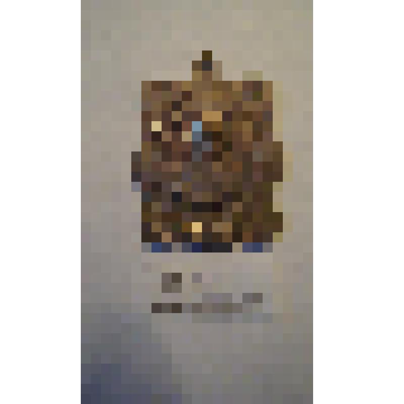 Жетон с изображением Л.Н.Толстого