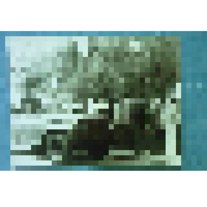 Фотография групповая