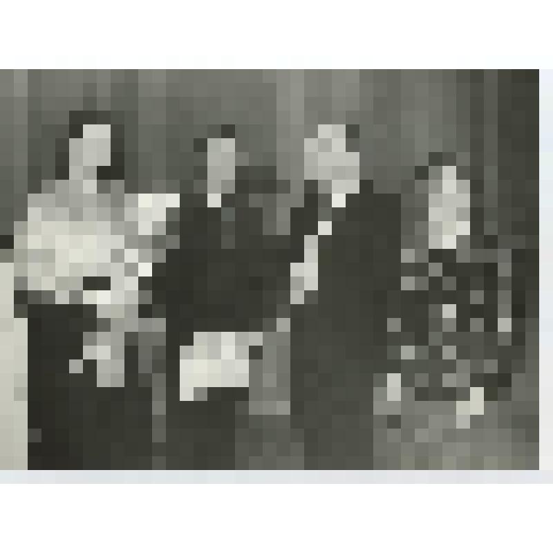 Фотография. Б.Г.Тевлин и неустановленные лица в Рахманиновском зале консерватории