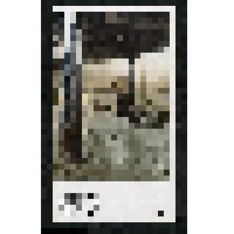 Проспект выставки - "Акты состояния". Немецкая фотография в 50-х - 80-х годах на востоке и западе"