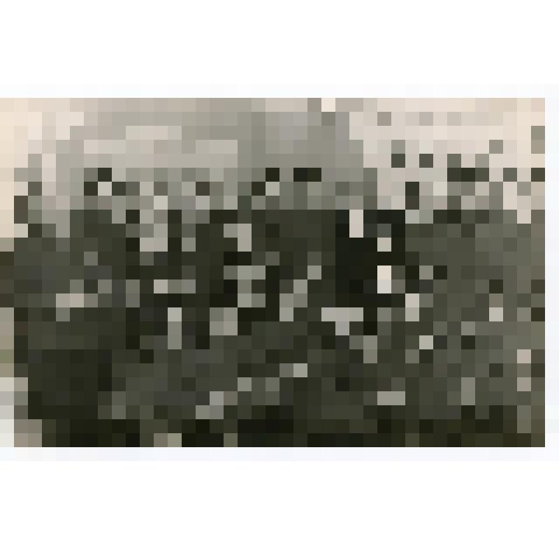 Фотография. Н.Д. Анощенко на "огоньке" у комсомольцев стройбата в/ч 43016. 10 августа 1968 г