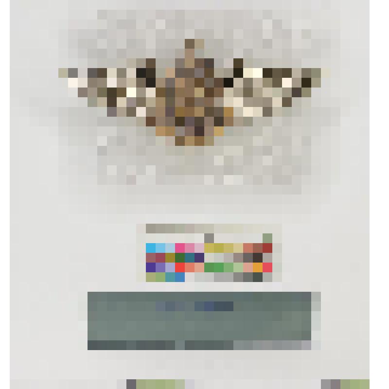 СССР. Знак. 9-й Гвардейский авиационный полк