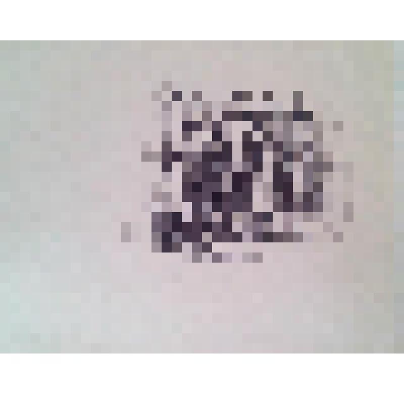 Графика печатная. Иллюстрация к роману  М. Горького "Мать". Обыск рабочих у проходной.Часть I, глава ХV