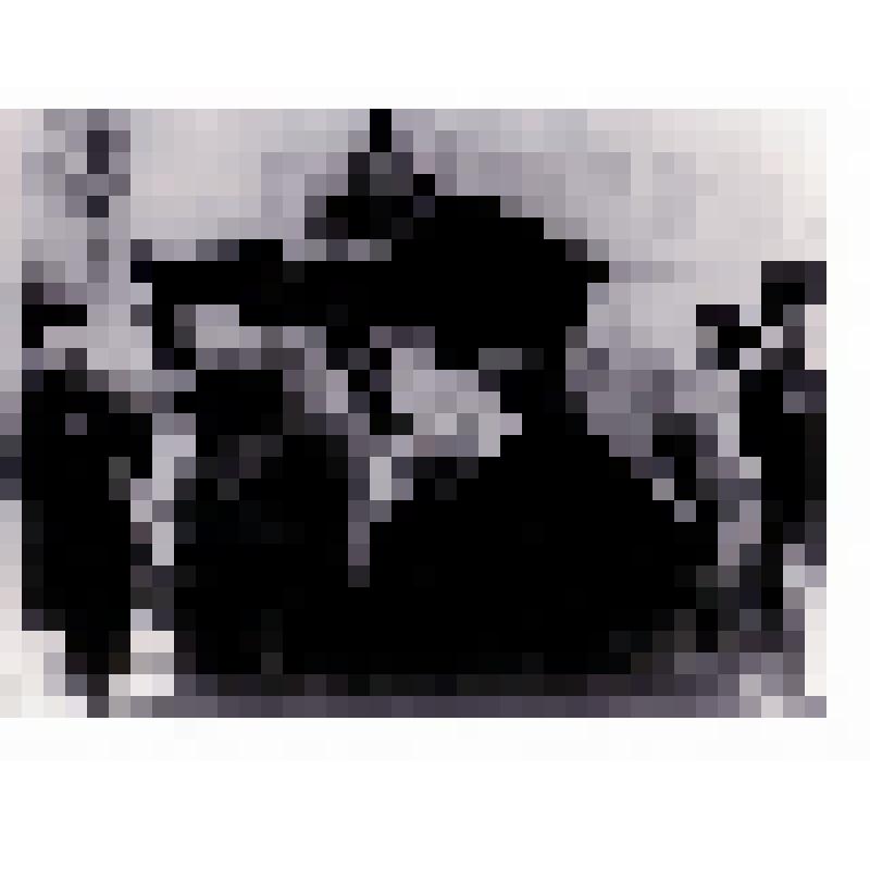 М.И. Калинин (комплект фотографий)